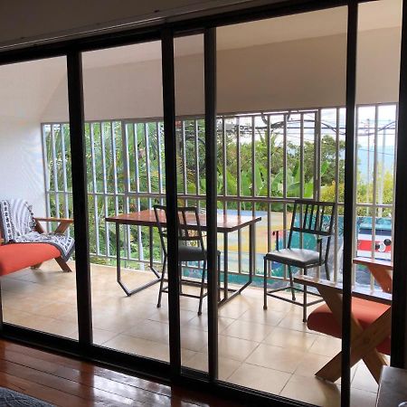 Cockatoo Studio Apartments Manuel Antonio Exteriér fotografie
