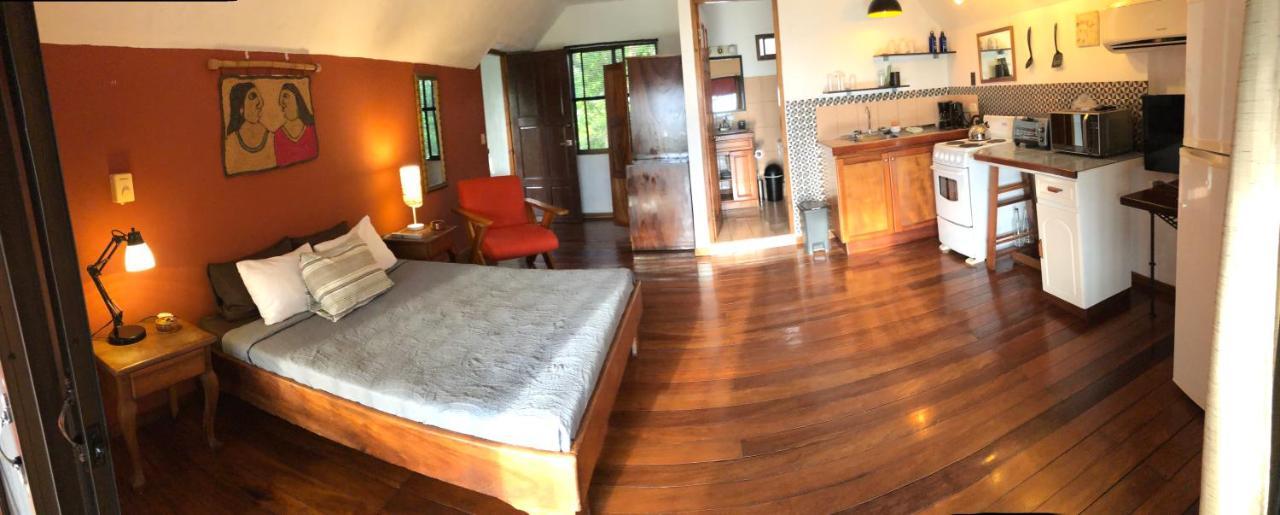 Cockatoo Studio Apartments Manuel Antonio Exteriér fotografie