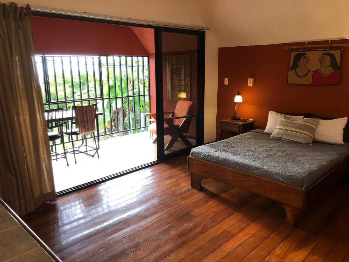 Cockatoo Studio Apartments Manuel Antonio Exteriér fotografie